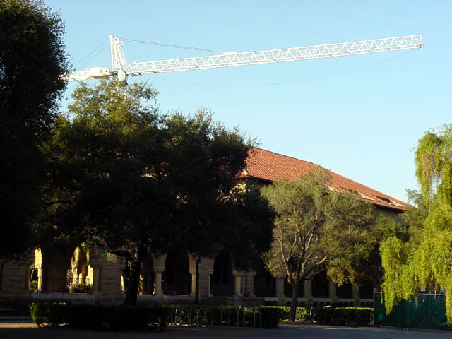trees and crane