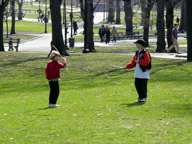 stick fighters