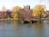 pond