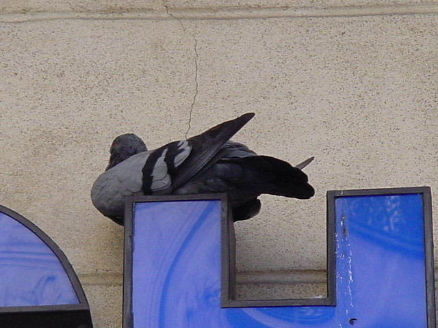 DSC00174