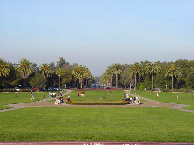 Stanford and grass