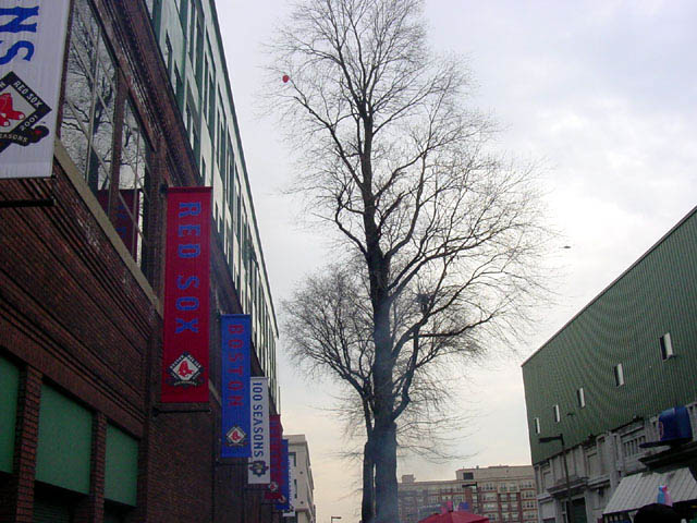 DSC00184